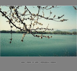 Untitled-13_nEO_IMG
