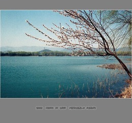 Untitled-12_nEO_IMG