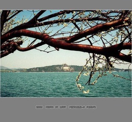 Untitled-10_nEO_IMG