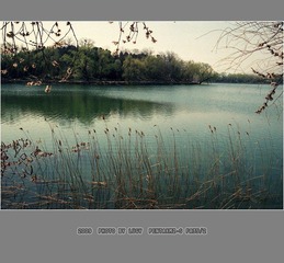 Untitled-8_nEO_IMG