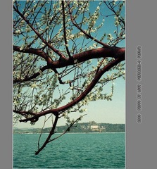 Untitled-14_nEO_IMG