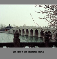 Untitled-3_nEO_IMG