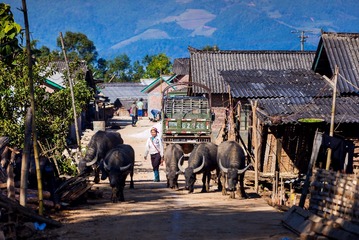 20120301-DSC00176