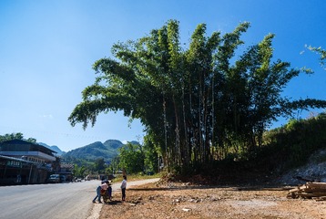 20120301-DSC00350