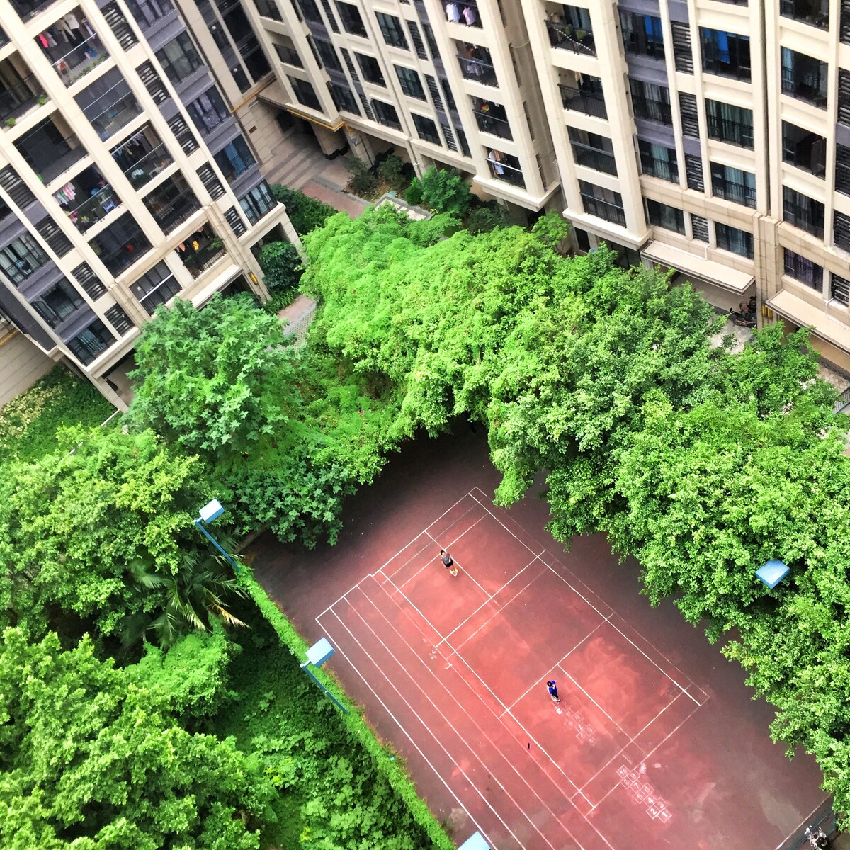 城市束缚不了人，因为人会寻找丛林