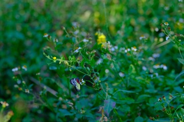 001