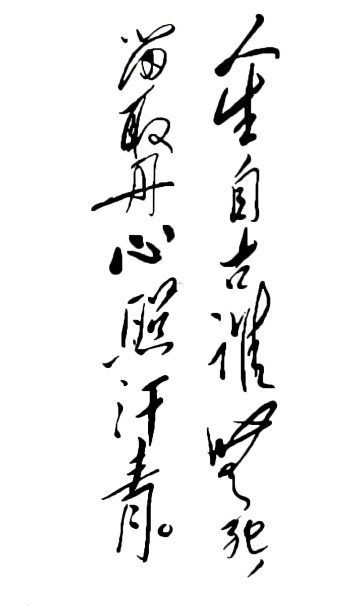 文天祥名句毛体书法人生自古谁无死留取丹心照汗青