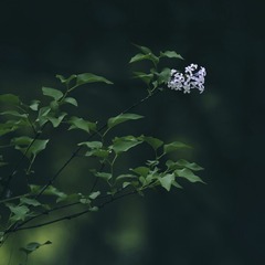 0E70776B-0F95-413D-B27F-CFEBA7A6CC3C/L0/001