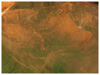 04DB4D33-16C3-4A1F-A6C2-1E82D92160B3/L0/001