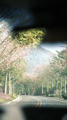 CA0A3197-6112-48AE-8EFF-CF80ABCA9AB9/L0/001