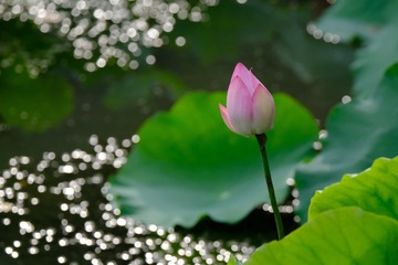 001