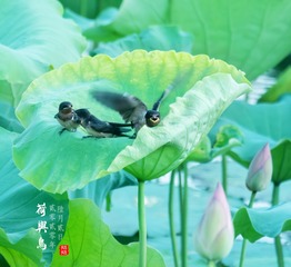 001