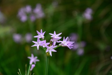 XXM_0907