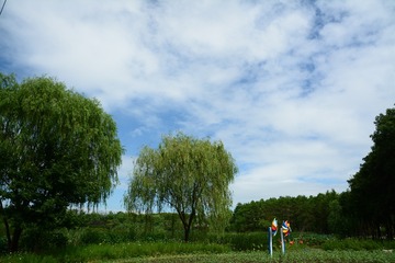 XXM_0920