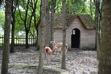 XXM_0937