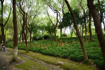 XXM_0980