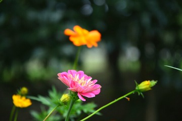 IMG_20160923_211836