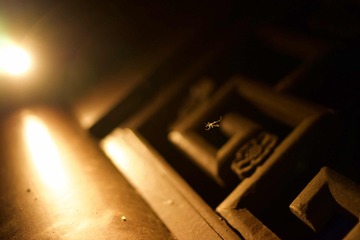 001