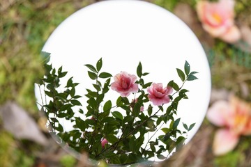AEC3F16F-B140-4D6D-8F16-B7D6B18418F7/L0/001