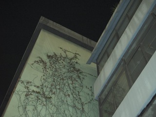 B5C9C0D9-AD05-45EA-8D5F-2C0C34020365/L0/001
