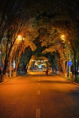 9D98C9ED-1A9A-4AB8-855A-E8D8E1CC3798/L0/001