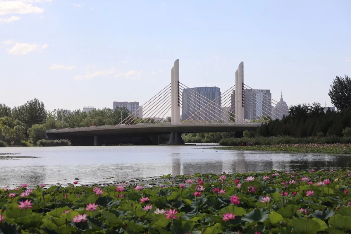 小城银杏-摄影2020年7月31日828关注湖城中国水下摄影您的打赏,是最大