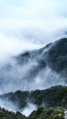 _IMG1077