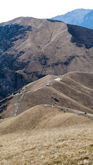 _IMG1135