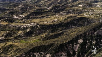 _IMG8280