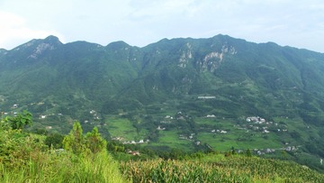 DSCF7986-01