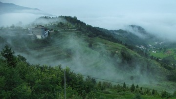 DSCF8034-01