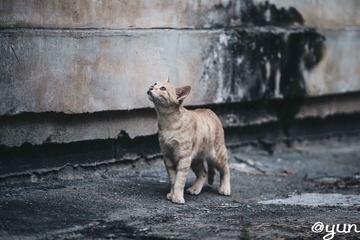 301696