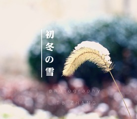 IMG_20161215_133333