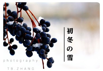 IMG_20161215_132732