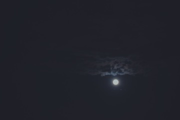 2016-09-17 11.31.53 1