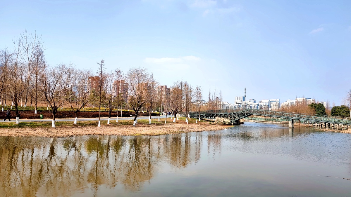 温暖的冬天中午