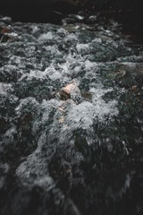 654546