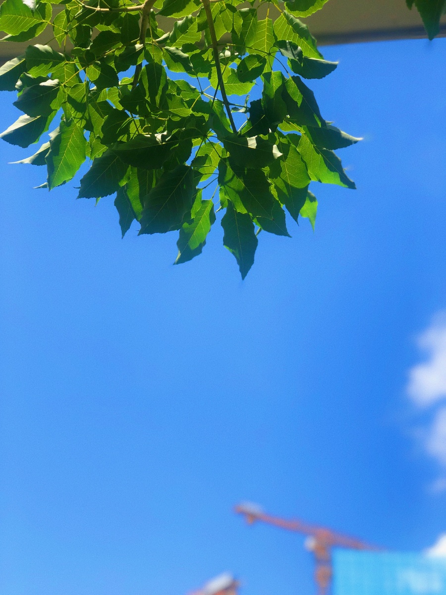 夏了一个夏天蓝了一片天空治愈系蓝