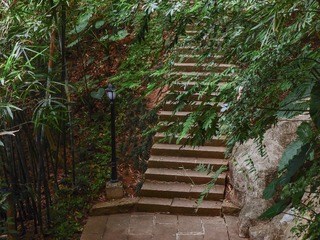 PC212947_1