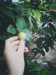 IMG_20160509_184512