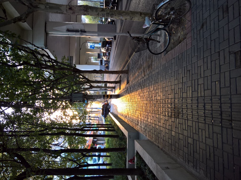 Lumia950XL