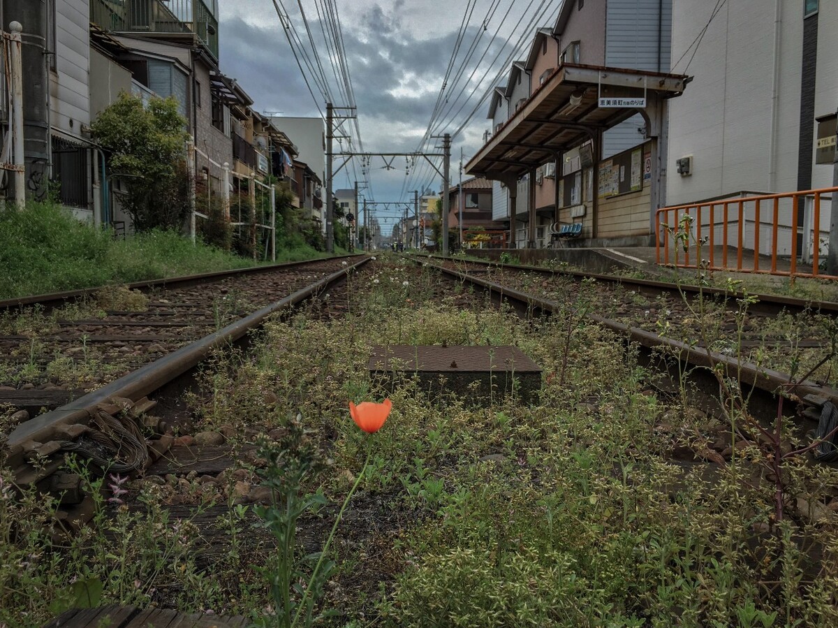 独舞
