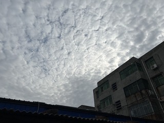 72837735-C9D4-4023-AC0F-CA67DAE2251A/L0/001