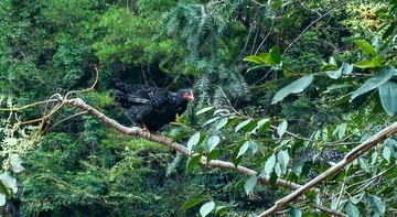 IMG_20160921_232717