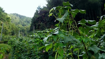 IMG_20160921_233706