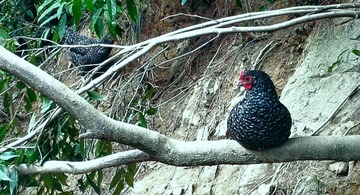 IMG_20160921_232840