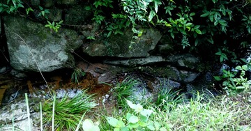 IMG_20160921_234001