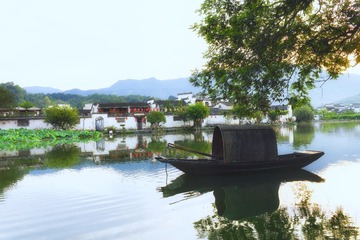 20019