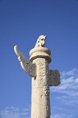 16876