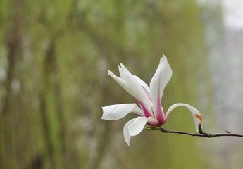 20150319 016_